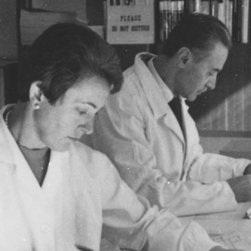 Paire de Poignées de Portes Agatha