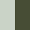Gris et vert