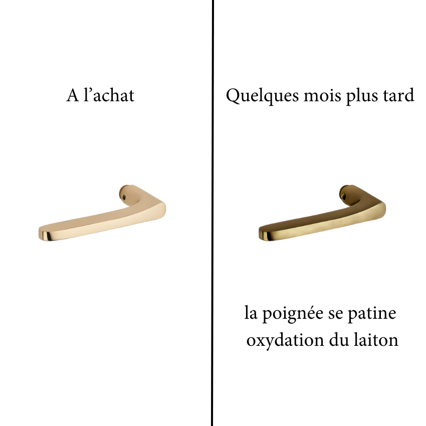 Paire de Poignées de Portes Flore Laiton