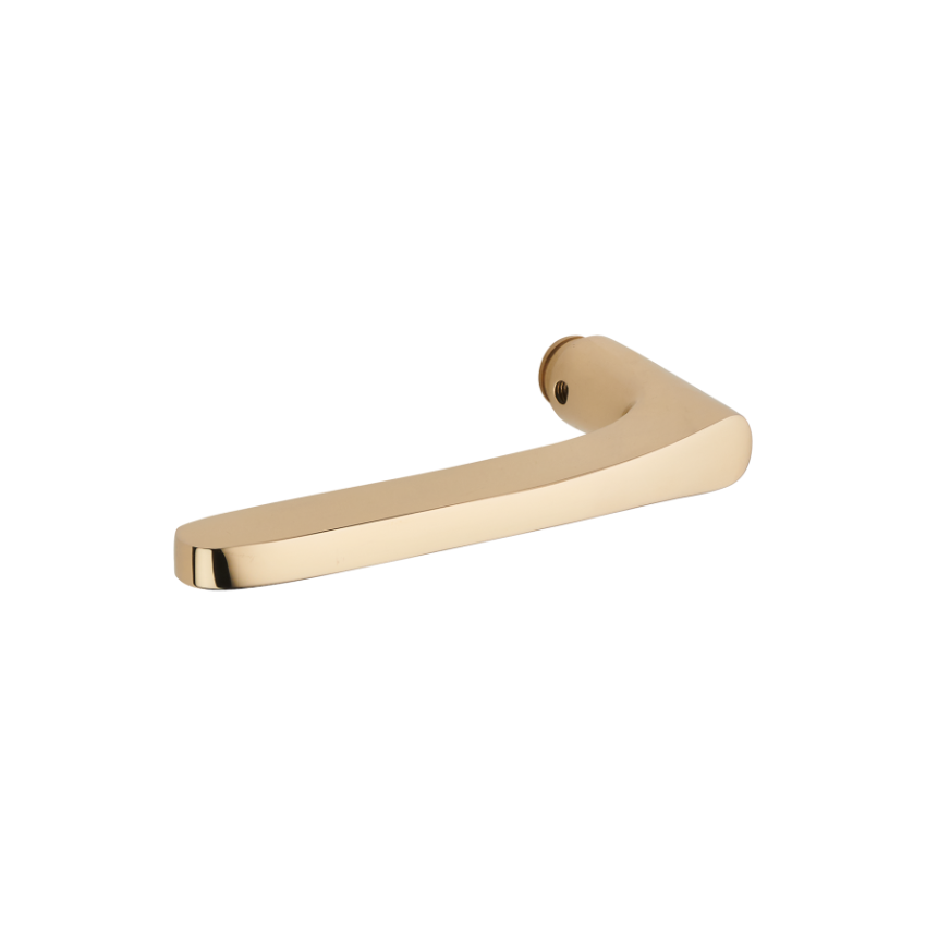 Paire de Poignées de Portes Flore Laiton