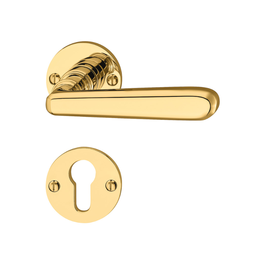 Paire de Poignées de Portes Prater Laiton Poli