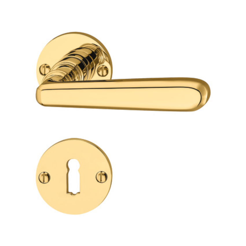 Paire de Poignées de Portes Prater Laiton Poli