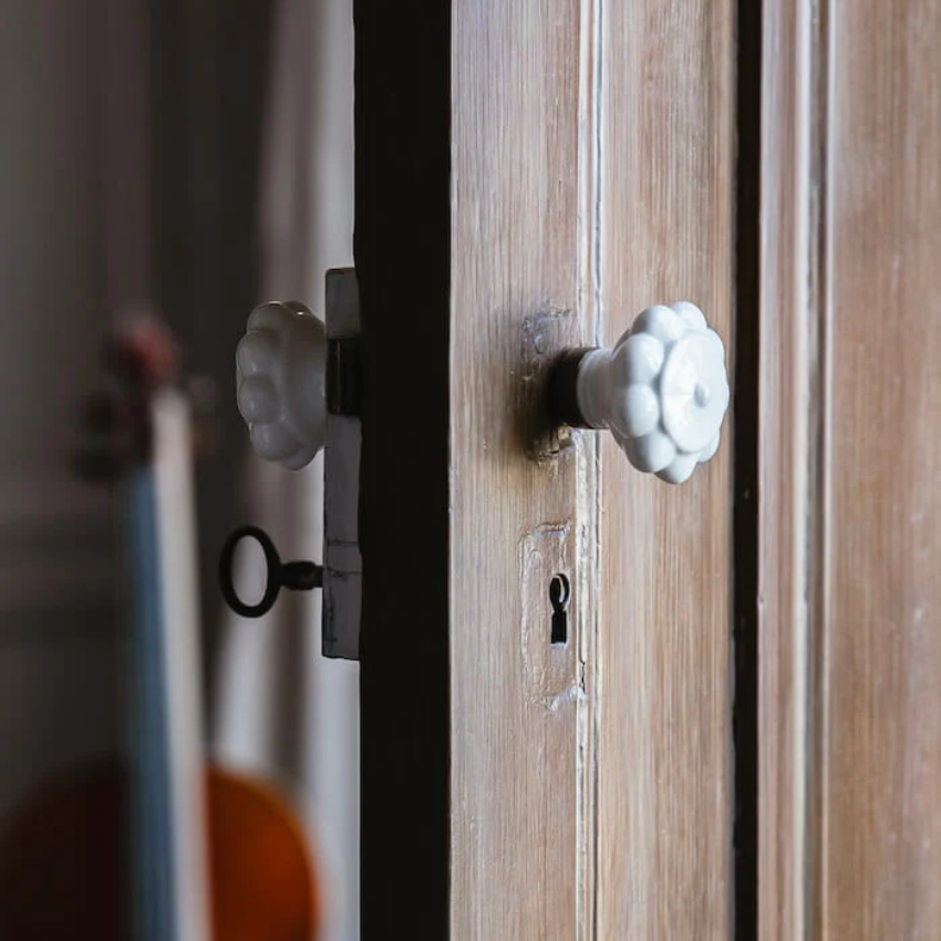 Paire de boutons de portes Alix D. Reynis Boule Porcelaine Laiton