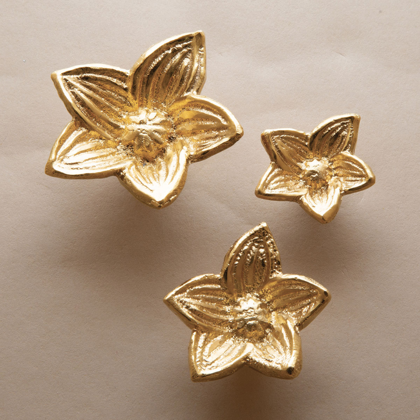 Bouton de meuble Amaryllis Bronze